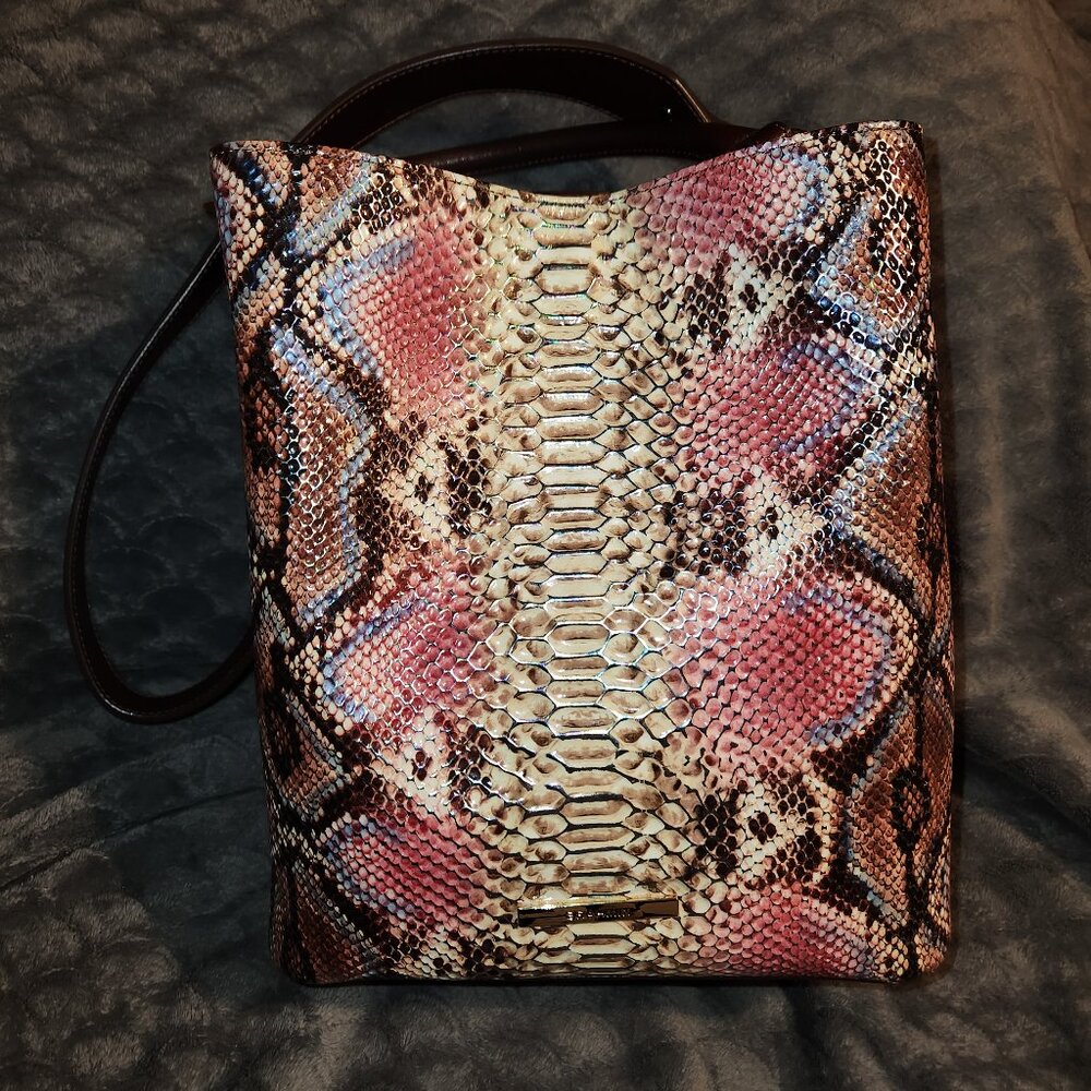 Brahmin Amelia